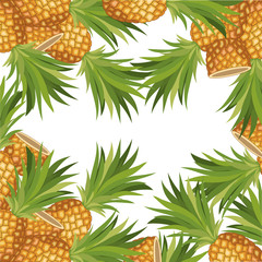 pineapple fresh fruit pattern background vector illustration design
