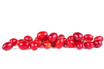 Cornels isolated on a white background