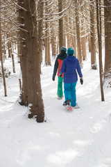 Fototapeta na wymiar Pair of female friends snowshoeing in forest.