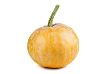 Small fresh pumpkin isolated on white background