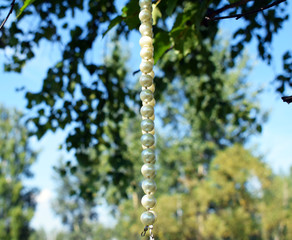 String of pearls on the background of nature. Heart-shaped pearls on the grass. Natural jewelry.
