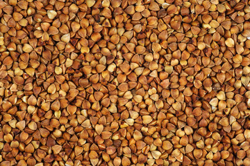 Buckwheat grains