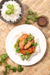 chicken with sauce and coriander