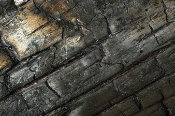 burnt wood texture
