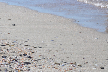 Sandy beach with shells