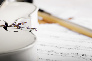 Close view of a violin musical notes and dry lavender on white wooden table