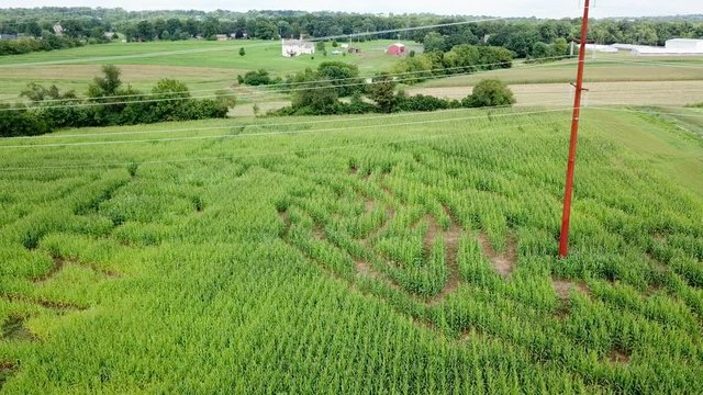Aerial View of a Corn Maze in Rural Farmland, Sliding Drone Movement