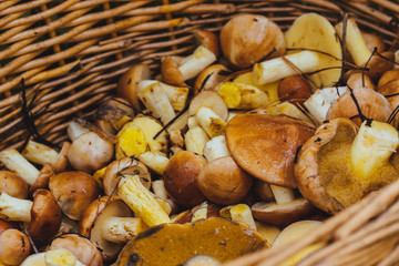 wicker basket with mushrooms
