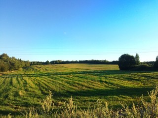 field