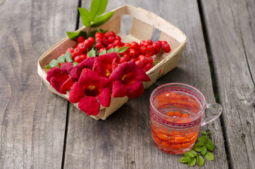 Red medicinal sorbus on a wooden table