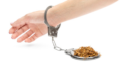Woman's hand chained by handcuffs to cut tobacco on white. Tobacco addiction.