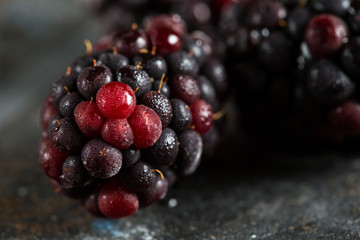 Frozen blackberry closeup