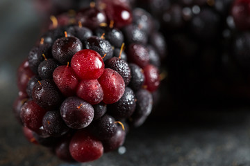 Frozen blackberry closeup