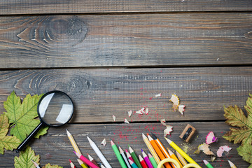 School accessories on a wooden