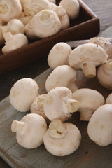 fresh uncooked mushrooms