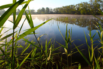 Fog in the morning above the water