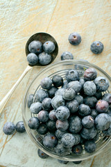 preparing fresh blueberries