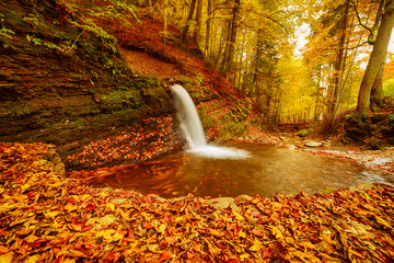 Fototapeta na wymiar Autumn mountain waterfall stream in the rocks with colorful red fallen dry leaves, natural seasonal background