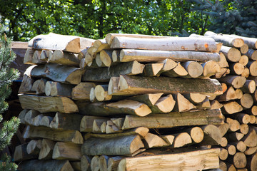 A pile of firewood