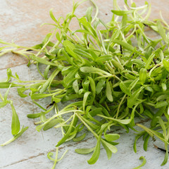 fresh micro herbs