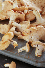 fresh uncooked mushrooms