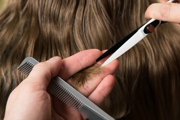 hairdresser cuts hair with scissors and comb a girl with long hair, close-up