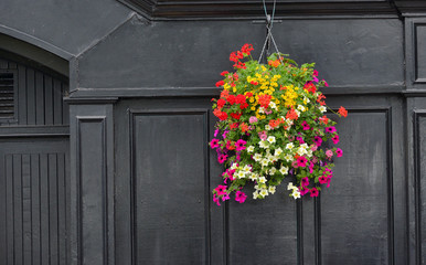 Flowers on Traditional Irish pub facade