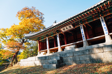 Fototapeta na wymiar Namhansanseong Fortress Yeonmugwan, Korean traditional architecture with autumn maple in Gwangju, Korea