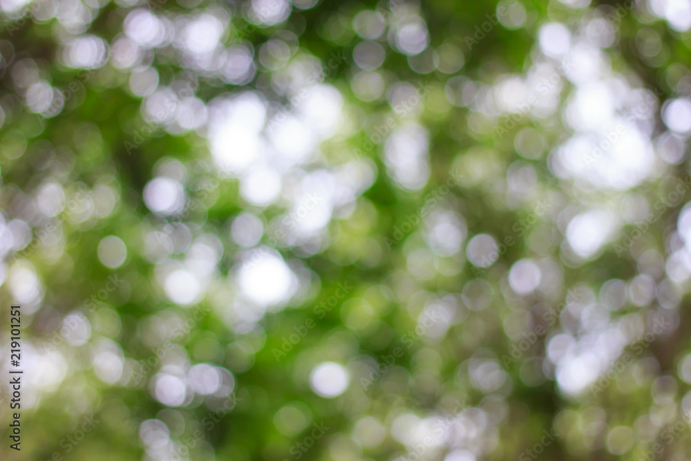 Canvas Prints blurred of green bokeh on tree background