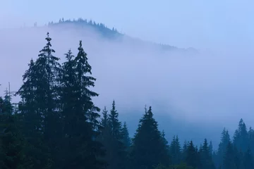 Photo sur Plexiglas Forêt dans le brouillard Misty landscape with mountains and fir forest in hipster vintage retro style