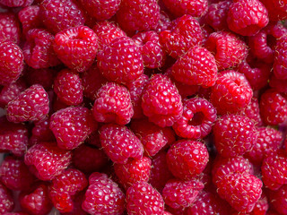 Pattern of fresh raspberries, background for design_