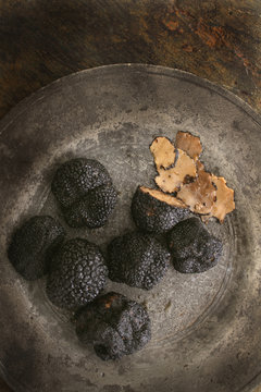 French black truffle