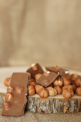 Milk chocolate and hazelnuts on a tree cut, place for your text