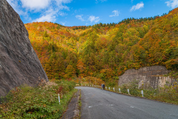 Hachimantai mountain road in autumn season with blue sky.