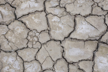 Obraz premium Cracked soil ground for drought,climate change,global warming concept