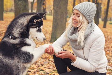 Dog husky gives a woman the paw © millaf