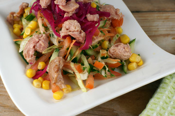 Vegetable salad with tuna on a white plate