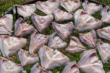 dried fish in the basket at the marketplace