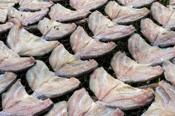 dried fish in the basket at the marketplace