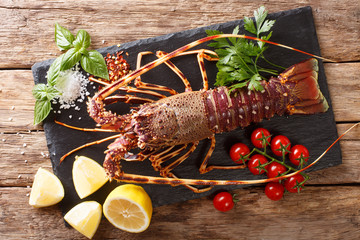 Raw spiny lobster with tomato, lemon and herbs close up on a black board. Horizontal top view