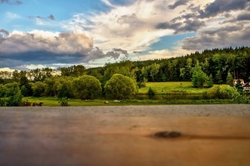 Fototapeta premium Green countryside on river bank in sunset.