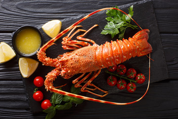 Luxurious boiled lobster surrounded by fresh tomatoes, lemon, herbs and melted butter close-up. horizontal top view