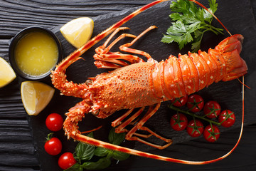 Delicious food: boiled spiny or rocky lobster with tomato, lemon and melted butter close-up. horizontal top view