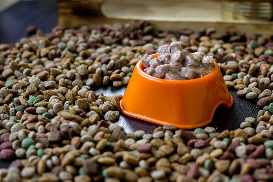 Wet canned pet food in a bowl surrounded by dry food.