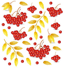 Mountain Ash pattern Vector. Fall autumn backgrounds