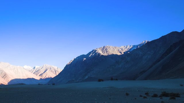 Camel safari at Hundar sand dunes in Nubra Valley, Ladakh, North India