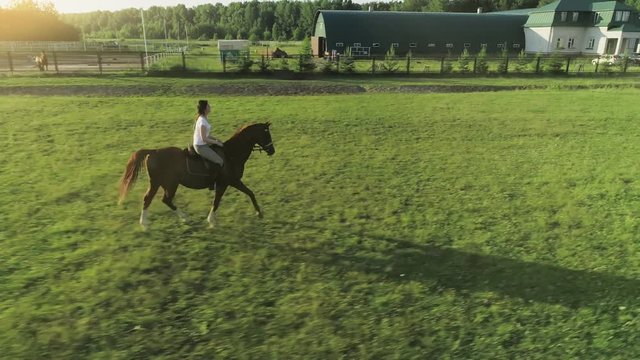 A young woman rides trotted on a brown horse a sideways to the camera, slow motion