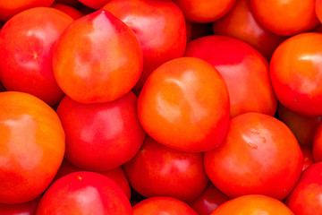 red tomatoes background. Group of tomatoes