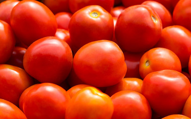 red tomatoes background. Group of tomatoes