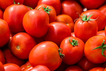 red tomatoes background. Group of tomatoes